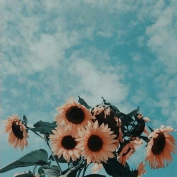 Meet your Posher, Kaitlin - Picture 1 of 1